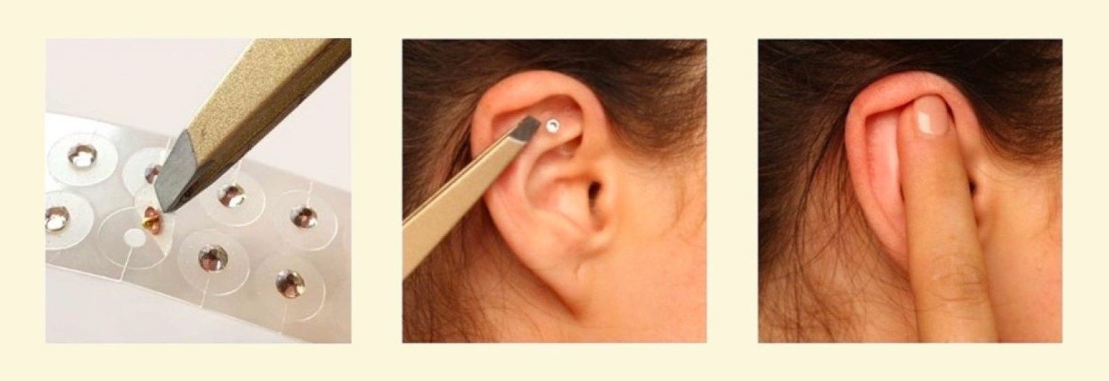 EarSeeds.com, Sparking a Wellness Revolution: A Conversation with Tova & Elie Goldschmidt