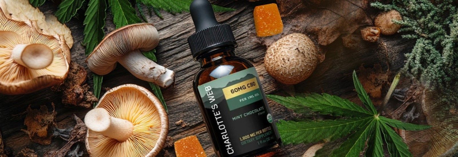 unlock the power of nature