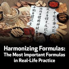 Harmonizing Formulas: The Most Important Formulas in Real-Life Practice