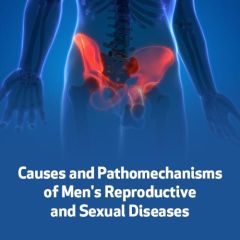 Causes and Pathomechanisms of Men's Reproductive and Sexual Diseases