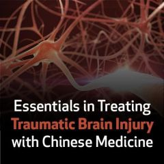 Essentials in Treating Traumatic Brain Injury with Chinese Medicine