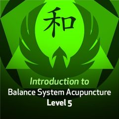 Introduction to Balance System Acupuncture - Level 5