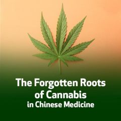 The Forgotten Roots of Cannabis in Chinese Medicine