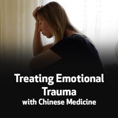 Treating Emotional Trauma with Chinese Medicine