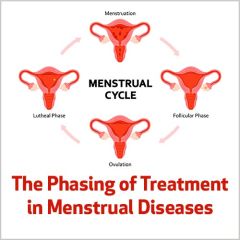 The Phasing of Treatment in Menstrual Diseases