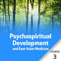 Psychospiritual Development and East Asian Medicine - Course  3