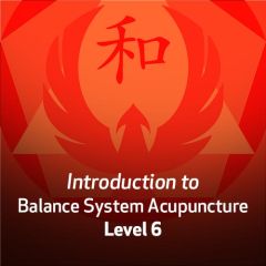 Introduction to Balance System Acupuncture - Level 6