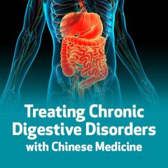 Treating Chronic Digestive Disorders with Chinese Medicine