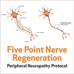 Five Point Nerve Regeneration Peripheral Neuropathy  Protocol