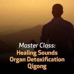 Master Class: Healing Sounds Organ Detoxification Qigong