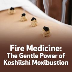 Fire Medicine: The Gentle Power of Koshiishi Moxibustion