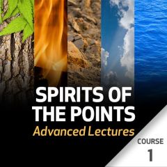 Spirits of the Points: Advanced Lectures - Course 1