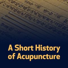 A Short History of Acupuncture