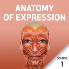 Anatomy of Expression - Course 1
