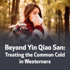 Beyond Yin Qiao San: Treating the Common Cold in Westerners