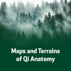 Maps and Terrains of Qi Anatomy
