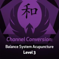 Channel Conversion: Balance System Acupuncture - Level 3