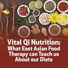 Vital Qi Nutrition: What East Asian Food Therapy can Teach us About our Diets