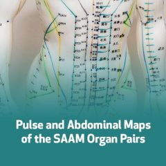 Pulse and Abdominal Maps of the SAAM Organ Pairs