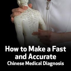 How to Make a Fast and Accurate Chinese Medical Diagnosis