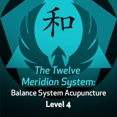 The Twelve Meridian System: Balance System Acupuncture - Level 4