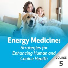 Energy Medicine: Five Element Strategies for Enhancing Human and Canine Health - Course 5