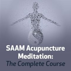 Saam Acupuncture Meditation: The Complete Course