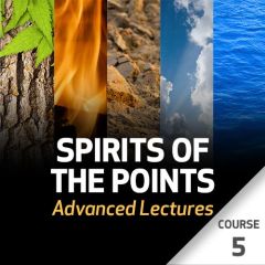 Spirits of the Points: Advanced Lectures - Course 5