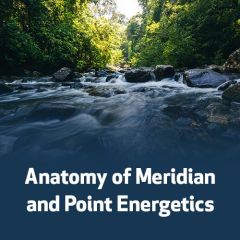 Anatomy of Meridian and Point Energetics