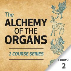 The Alchemy of the Organs - Course 2