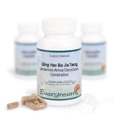 Evergreen Artemisia Annua Decoction - 100 Capsules