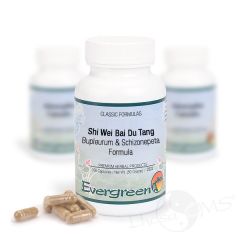 Evergreen Bupleurum & Schizonepeta Formula - 100 Capsules