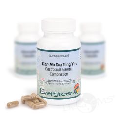 Evergreen Gastrodia & Gambir Combination - 100 Capsules