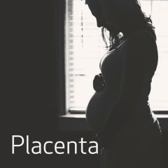 Placenta