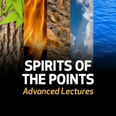 Spirits of the Points: Advanced Lectures