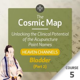 The Cosmic Map Unlocking the Clinical Potential of the Acupuncture ...