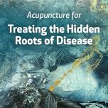 Acupuncture for Treating the Hidden Roots of Disease