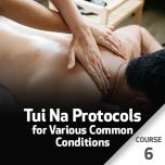 Tui Na Protocols for Various Common Conditions - Course 6