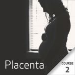 Placenta - Course 2