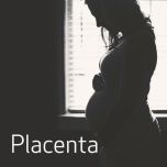 Placenta