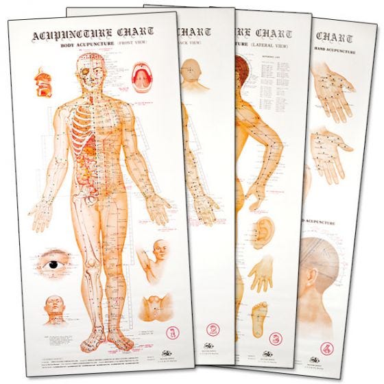 Acupuncture Wall Charts
