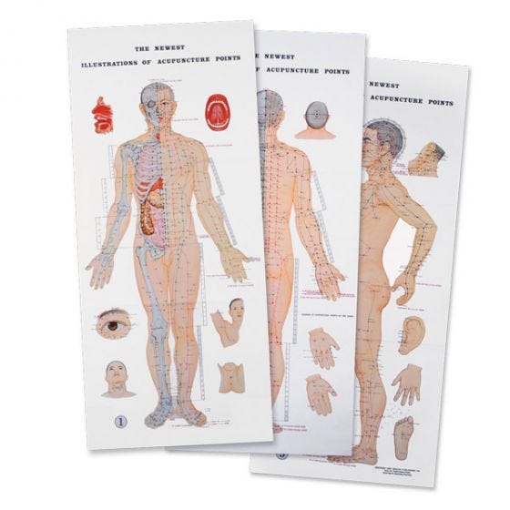 Acupuncture Point Charts Online