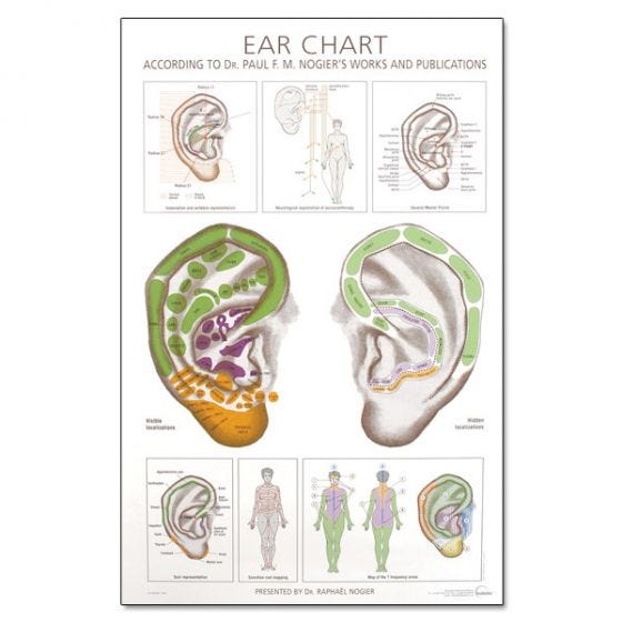 Nogier Ear Chart