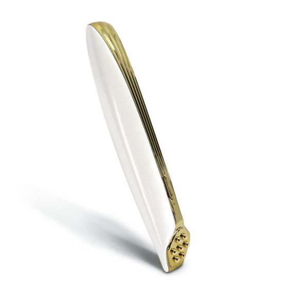 RF EMS Eye Beauty Massager