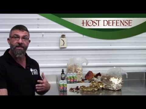 Host Defense Mushrooms MycoShield Cinnamon Spray | Lhasa OMS