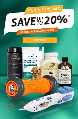 Monthly Specials