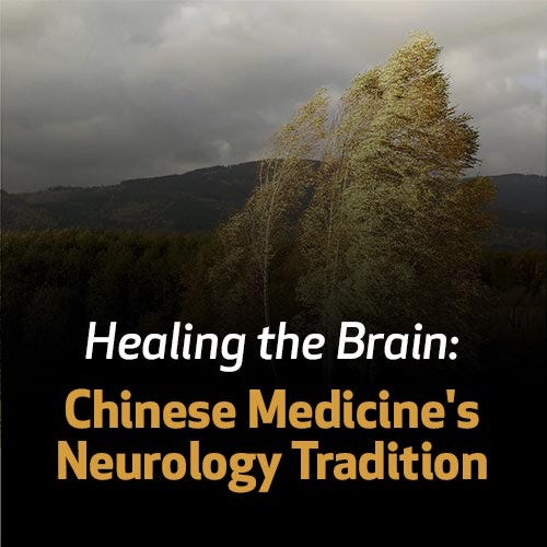 Healing The Brain Chinese Medicines Neurology Tradition Healing The Brain Chinese Medicines Neurology Tradition