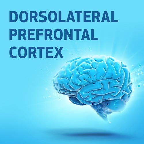 Dorsolateral prefrontal cortex